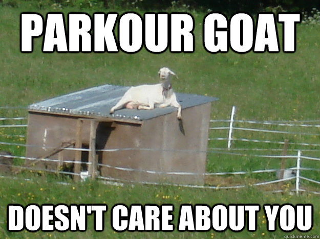 Parkour Goat Doesn't care about you  Parkour Goat