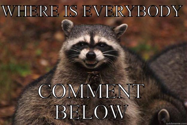 WHERE IS EVERYBODY  COMMENT BELOW Evil Plotting Raccoon