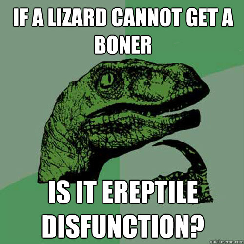 If a lizard cannot get a boner is it ereptile disfunction?  Philosoraptor