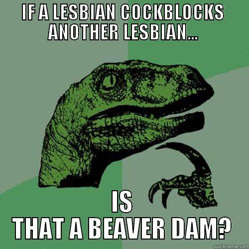 IF A LESBIAN COCKBLOCKS ANOTHER LESBIAN... IS THAT A BEAVER DAM? Philosoraptor