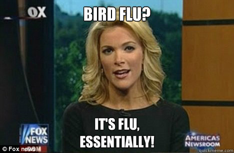 BIRD FLU? It's flu,
Essentially!  Megyn Kelly