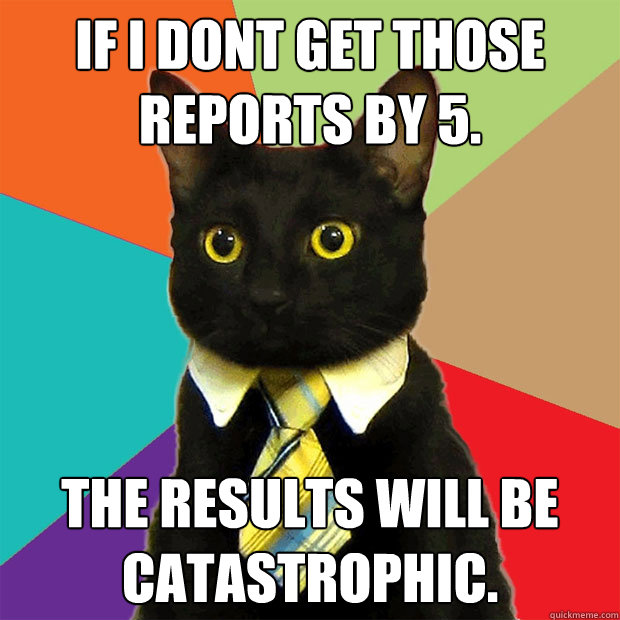 If I dont get those reports by 5. The results will be catastrophic.  Business Cat