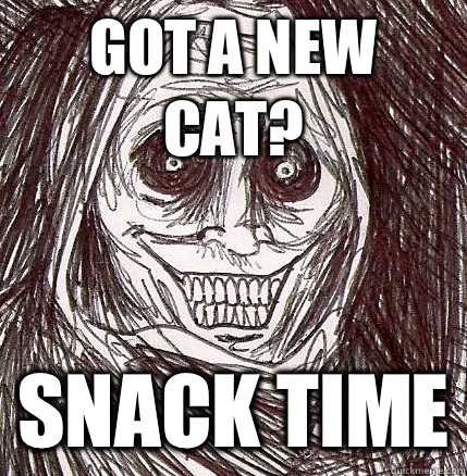 Got a new cat? SNACK TIME  Horrifying Houseguest