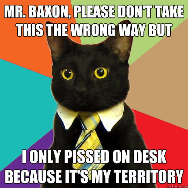 Mr. Baxon, please don't take this the wrong way but I only pissed on desk because it's my territory  Business Cat