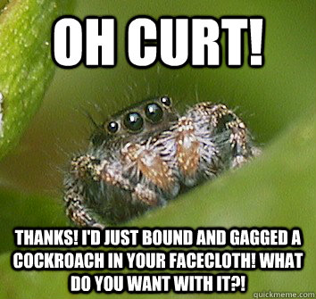 Oh Curt! Thanks! I'd just bound and gagged a cockroach in your facecloth! What do you want with it?! - Oh Curt! Thanks! I'd just bound and gagged a cockroach in your facecloth! What do you want with it?!  Misunderstood Spider