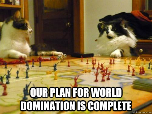  our plan for world domination is complete  world domination cats