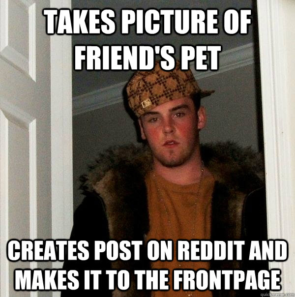 Takes picture of friend's pet Creates post on Reddit and makes it to the frontpage - Takes picture of friend's pet Creates post on Reddit and makes it to the frontpage  Scumbag Steve