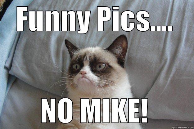 FUNNY PICS.... NO MIKE! Grumpy Cat