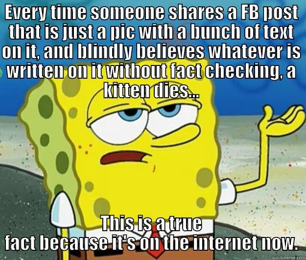 EVERY TIME SOMEONE SHARES A FB POST THAT IS JUST A PIC WITH A BUNCH OF TEXT ON IT, AND BLINDLY BELIEVES WHATEVER IS WRITTEN ON IT WITHOUT FACT CHECKING, A KITTEN DIES... THIS IS A TRUE FACT BECAUSE IT'S ON THE INTERNET NOW. Tough Spongebob