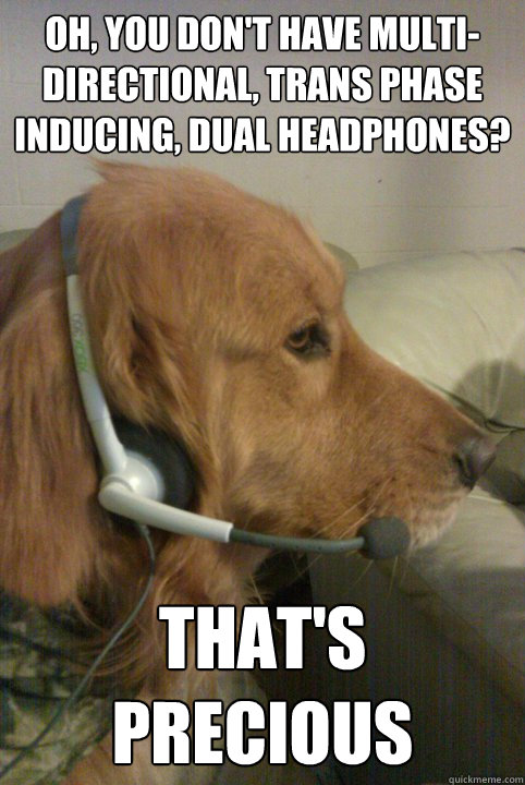Oh, you don't have multi-directional, trans phase inducing, dual headphones? that's precious - Oh, you don't have multi-directional, trans phase inducing, dual headphones? that's precious  Xbox Live Dog