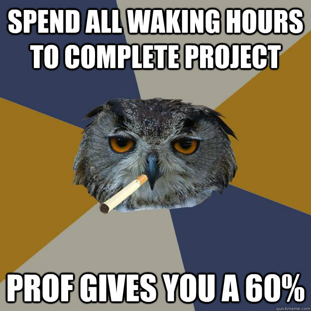 Spend all waking hours to complete project Prof gives you a 60% - Spend all waking hours to complete project Prof gives you a 60%  Art Student Owl