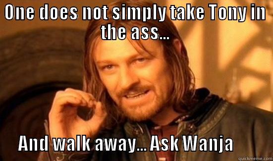 ONE DOES NOT SIMPLY TAKE TONY IN THE ASS...               AND WALK AWAY... ASK WANJA           Boromir