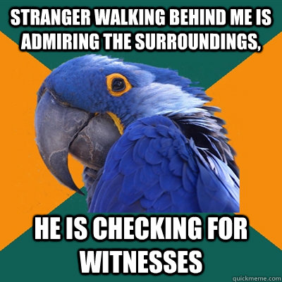 Stranger walking behind me is admiring the surroundings, he is checking for witnesses - Stranger walking behind me is admiring the surroundings, he is checking for witnesses  Paranoid Parrot