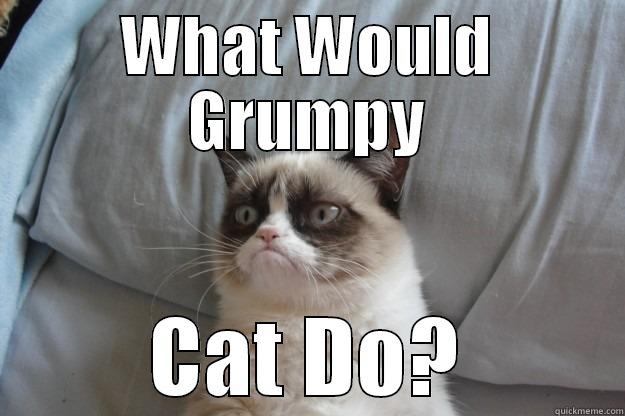 Grumpy Cat - WHAT WOULD GRUMPY CAT DO? Grumpy Cat