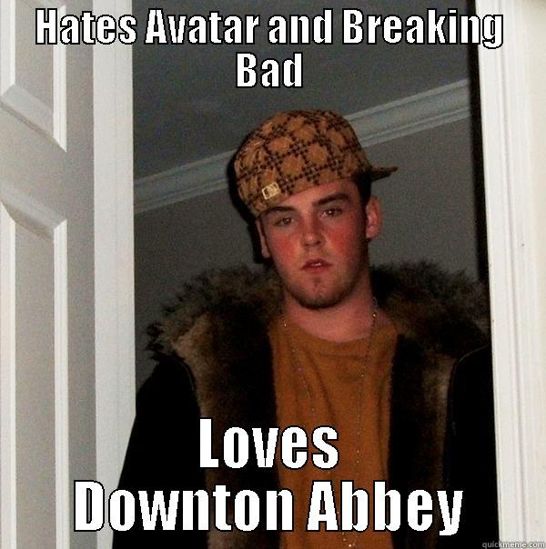 HATES AVATAR AND BREAKING BAD LOVES DOWNTON ABBEY Scumbag Steve