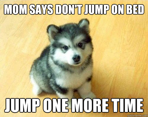 Mom says don't jump on bed jump one more time  Baby Courage Wolf