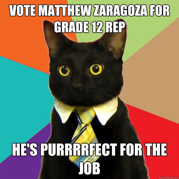 vote matthew zaragoza for grade 12 rep he's purrrrfect for the job  Business Cat