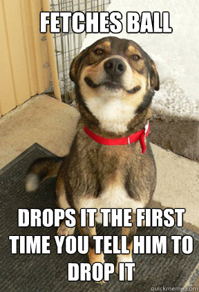 fetches ball drops it the first time you tell him to drop it   Good Dog Greg