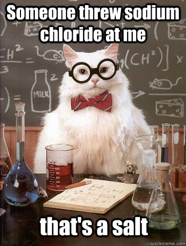 Someone threw sodium chloride at me that's a salt  Chemistry Cat