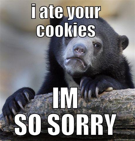 I ATE YOUR COOKIES IM SO SORRY Confession Bear