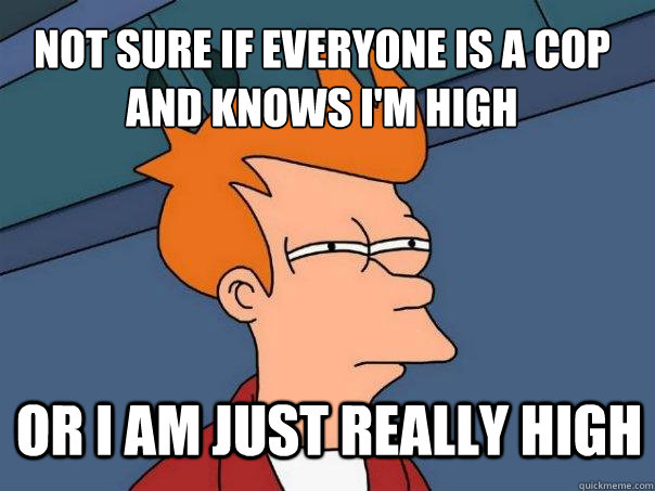 not sure if everyone is a cop and knows I'm high Or i am just really high  Futurama Fry