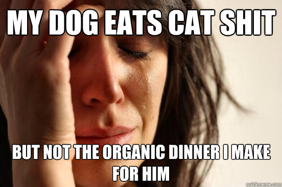 my dog eats cat shit but not the organic dinner i make for him  First World Problems