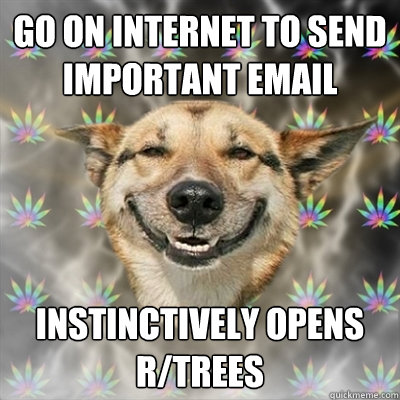 Go on internet to send important email Instinctively opens R/Trees  Stoner Dog