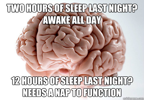TWO HOURS OF SLEEP LAST NIGHT? AWAKE ALL DAY 12 HOURS OF SLEEP LAST NIGHT? NEEDS A NAP TO FUNCTION  - TWO HOURS OF SLEEP LAST NIGHT? AWAKE ALL DAY 12 HOURS OF SLEEP LAST NIGHT? NEEDS A NAP TO FUNCTION   Scumbag Brain