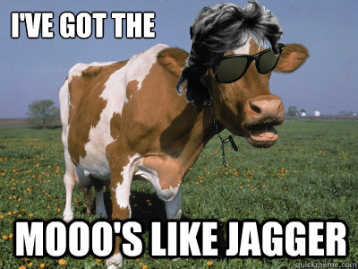 I've Got the Mooo's like jagger - I've Got the Mooo's like jagger  Moos Like Jagger