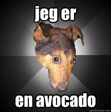 jeg er  en avocado  Depression Dog