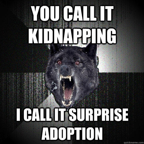 You call it kidnapping i call it surprise adoption  
