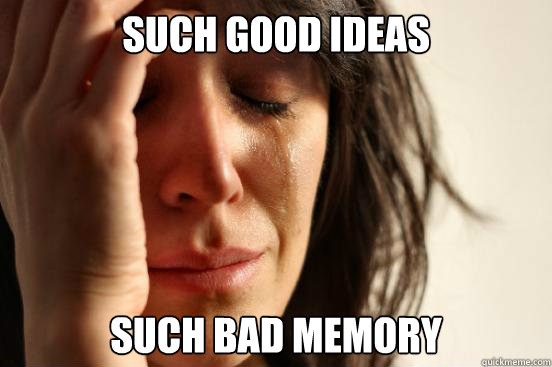 Such good ideas such bad memory  First World Problems