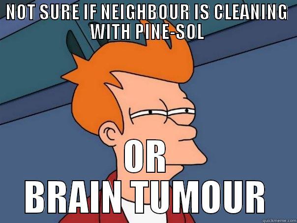 NOT SURE IF NEIGHBOUR IS CLEANING WITH PINE-SOL OR BRAIN TUMOUR Futurama Fry