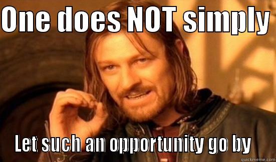 ONE DOES NOT SIMPLY  LET SUCH AN OPPORTUNITY GO BY   Boromir