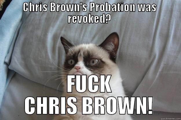 CHRIS BROWN STAIN IN THE PANTS - CHRIS BROWN'S PROBATION WAS REVOKED? FUCK CHRIS BROWN! Grumpy Cat