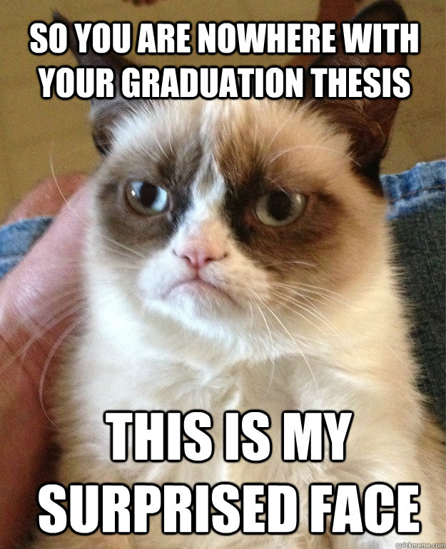 So you are nowhere with your graduation thesis This is my surprised face  Grumpy Cat