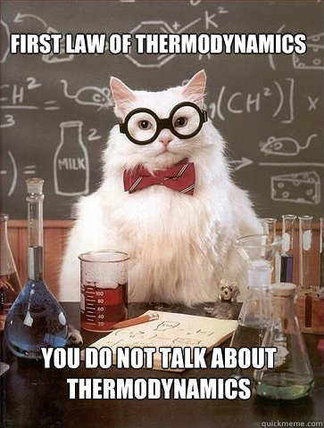 First law of thermodynamics You do not talk about thermodynamics  Chemistry Cat