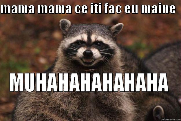 MAMA MAMA CE ITI FAC EU MAINE   MUHAHAHAHAHAHA Evil Plotting Raccoon