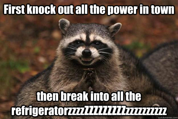 First knock out all the power in town then break into all the refrigeratorzzzzZZZZZZZZZzzzzzzzzzz  Evil Plotting Raccoon