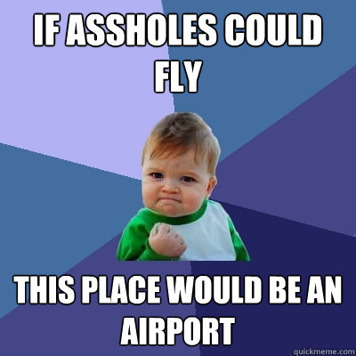 If Assholes could fly  This place would be an AIRPORT  Success Kid