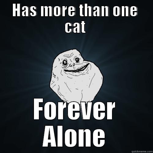 forever alone - HAS MORE THAN ONE CAT FOREVER ALONE Forever Alone