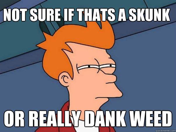 not sure if thats a skunk or really dank weed  Futurama Fry