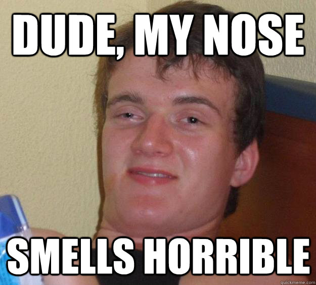 Dude, my nose smells horrible - Dude, my nose smells horrible  10 Guy