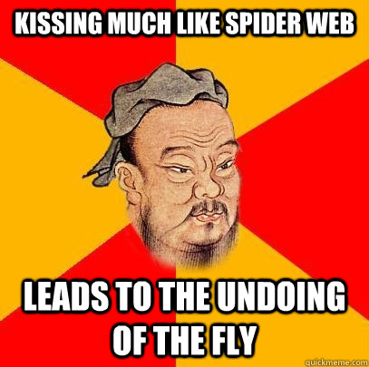 kissing much like spider web Leads to the undoing of the fly  Confucius says