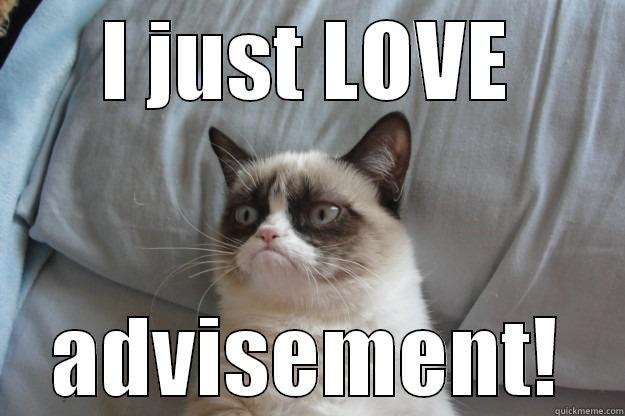 Advisement #2 - I JUST LOVE ADVISEMENT! Grumpy Cat