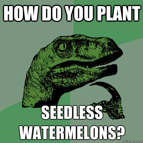 How do you plant Seedless Watermelons?
  Philosoraptor