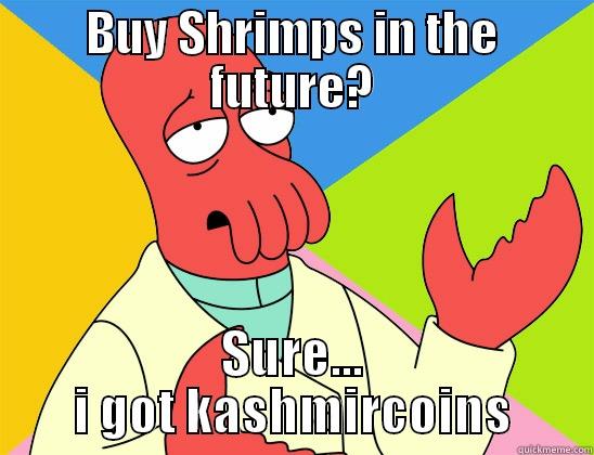 BUY SHRIMPS IN THE FUTURE? SURE... I GOT KASHMIRCOINS Futurama Zoidberg 