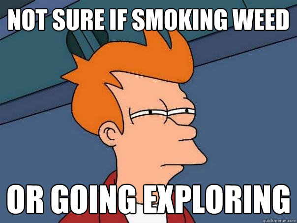 not sure if smoking weed or going exploring  Futurama Fry