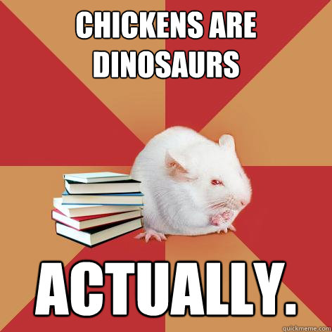 Chickens are dinosaurs Actually. - Chickens are dinosaurs Actually.  Science Major Mouse