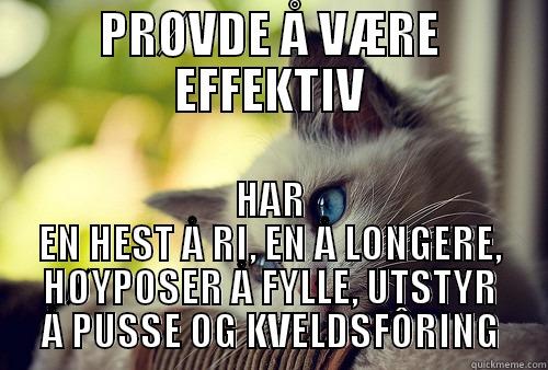 PRØVDE Å VÆRE EFFEKTIV HAR EN HEST Å RI, EN Å LONGERE, HØYPOSER Å FYLLE, UTSTYR Å PUSSE OG KVELDSFÔRING First World Problems Cat